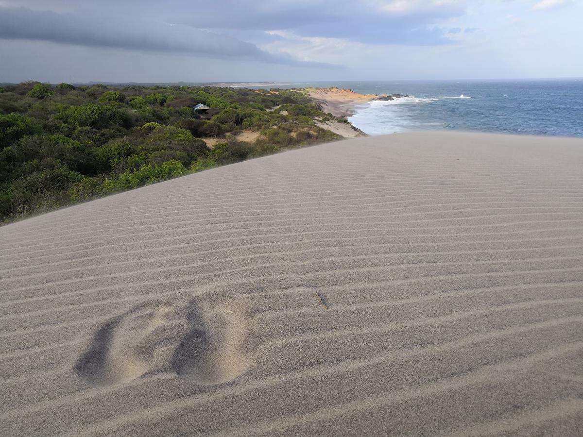 Yala Yin Yang Ostello Palatupana Esterno foto